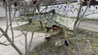 Плащ-намет піксель пончо з чохлом військовий тактичний водовідштовхувальний, дощовик ST8 - зображення 12