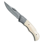 Ніж Boker Magnum Bone 01MB180DAM