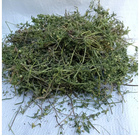 Фіалка триколірна трава сушена (упаковка 5 кг) - зображення 1