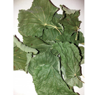 Липа листя сушене (упаковка 5 кг) - зображення 1