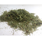 Хвощ польовий трава сушена (упаковка 5 кг) - зображення 1