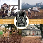 4G / APP Фотоловушка, камера для охоты Suntek HC-801Pro, 4K, 30Мп фото, с live приложением iOS / Android - изображение 3