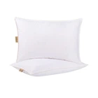 Подушка пуховая New Soffica Othello 50x70 см 000229479
