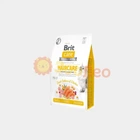 Сухой корм для кошек Brit Care Cat GF Haircare Healthy & Shiny Coat со сложным уходом за шерстью с лососем и курицей