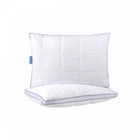 Подушка антиалергенна Clima Aria Othello 50x70 см 000229504