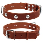 Ошейник "CoLLaR" одинарный с украшениями (ширина 35мм, длина 48-63см), коричневый