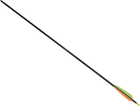 Стрела Poe Lang 30” для лука карбоновая 5 шт (PL/D030B) (EB185676) - Уценка - изображение 1
