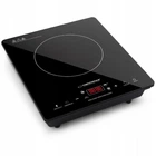 Плита индукционная Esperanza EKH009 Vesuvius 2000W 4 функции черный