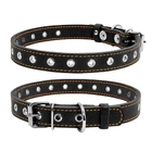 Ошейник для собак безразмерный CoLLaR (4820082491727)