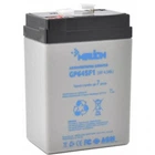 Батарея к ИБП Merlion 6V-4.5Ah (GP645F1) (154528)