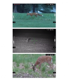 Цифровий приціл нічного бачення (ПНВ) ATN LTV Smart Day/Night Hunting 3-9x - зображення 4