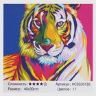Картина за номерами "TK Group", 30х40см, 30130