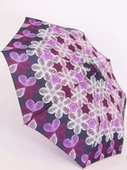 Женский зонт AIRTON (#3635 - 2246)