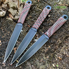 Ножи метательные в черном цвете в паракордовым переплетом ручки в наборе 3 штуки - изображение 4