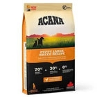 Сухой корм для щенков крупных пород ACANA Puppy Large Breed