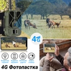 4G Фотопастка, лісова камера Suntek HC940Pro, 4K, 36МП, з live додатком для iOS / Android - зображення 5