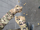 Перчатки зимние флисовые мультикам тактические Yakeda водонепроницаемые смартфон сенсор L военные армейские - изображение 4