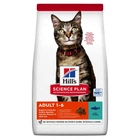 Сухой корм для котят Hill's Science Plan c тунцом