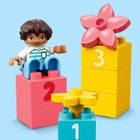 Zestaw LEGO DUPLO Klasyczne klocki Pudełko 65 elementów (10913) - obraz 9