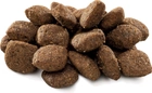 Sucha karma dla psów wrażliwym układem trawiennym BRIT Premium Sensitive lekkostrawna z jagnięciną 3 kg (8595602526628) - obraz 2