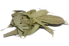 Эвкалипт (листья) 0,25 кг - изображение 1