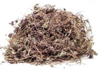 Чабрец (трава) 0,25 кг - изображение 1