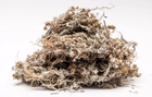 Сухоцвет болотный Сушеница (трава) 0,25 кг - изображение 1