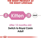 Mokra karma dla kociąt Royal Canin Kitten w galarecie 12x85 g (9003579311783) - obraz 4