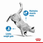 Упаковка вологого корму для дорослих кішок Royal Canin Light Weight Care шматочки в желе 12 шт х по 85 г (9003579311806) - зображення 9