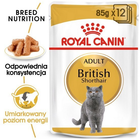 Вологий корм для дорослих кішок Royal Canin British Shorthair Adult 12 x 85 г (9003579001240) - зображення 3