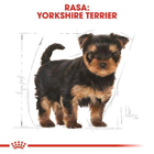 Sucha karma pełnoporcjowa dla szczeniąt Royal Canin Yorkshire Terrier Puppy rasy Yorkshire Terrier od 2 do 10 miesiąca życia 500 g (3182550743464) (39720051) - obraz 6