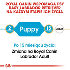 Sucha karma pełnoporcjowa dla szczeniąt Royal Canin Labrador Retriever Puppy dla labradorów do 15 miesiąca życia 12 kg (3182550725514) (24911201) - obraz 5