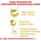 Royal Canin Dachshund Adult sucha karma pełnoporcjowa dla jamników w wieku od 10 miesięcy i powyżej 1,5 kg (3182550717335) (3059015) - obraz 5