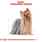 Sucha karma dla psów Yorkshire Terrier Royal Canin 7.5 kg (3182550716925) (3051075) - obraz 4