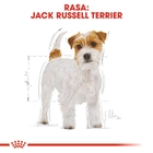 Sucha karma dla psów Jack Russell Terrier Royal Canin 7.5kg (3182550821438) (21000759) - obraz 4