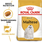 Sucha karma pełnoporcjowa dla dorosłych i starszych psów rasy maltańskiej Royal Canin Maltese Adult od 10 miesiąca życia 500 g (3182550782180) (3995005) - obraz 3