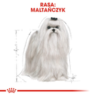 Сухий повнораціонний корм для дорослих та старіючих собак породи Мальтійська болонка Royal Canin Maltese Adult у віці 10 місяців і старше 500 г (3182550782180) (3995005) - зображення 4