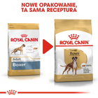 Сухий корм для собак Boxer Royal Canin 12кг (3182550719766) - зображення 6