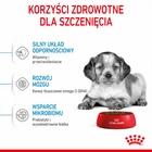 Sucha karma dla szczeniąt Royal Canin Puppy M 1kg (3182550402439) (97268) (30030101) - obraz 6