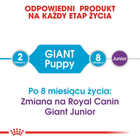 Сухий корм для цуценят Royal Canin Puppy Giant 15кг (3182550707046) (94034) (3030150) - зображення 5