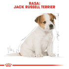 Сухий корм для цуценят Джек-Рассел-тер'єра Royal Canin Puppy 3кг (3182550822138) (21010301) - зображення 8