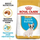 Sucha karma dla szczeniąt Buldog francuski Royal Canin Puppy 3kg (3182550811705) (3990030) - obraz 2