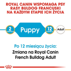 Sucha karma dla szczeniąt Buldog francuski Royal Canin Puppy 3kg (3182550811705) (3990030) - obraz 5
