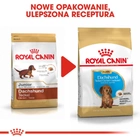 Сухий корм для щенят Такса Royal Canin Dachshund Puppy 1.5кг (3182550722575) (24370151) - зображення 9