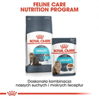 Sucha karma dla kotów Royal Canin Urinary Care 4 kg (3182550842952) (1800040) - obraz 7