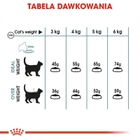 Sucha karma dla kotów Royal Canin Hairball Care 4 kg (3182550721417) (2534040) - obraz 6