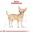 Sucha karma dla psów Chihuahua Royal Canin 1.5kg (3182550728102) (2210015) - obraz 4