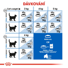 Sucha karma dla kotów domowych Royal Canin Indoor 2 kg (3182550704625) (25290209) - obraz 7