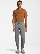 Спортивні штани чоловічі Fila FAM0278-80027 S Сірі (4064556359636) - зображення 3