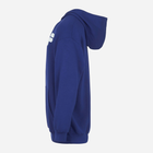 Bluza męska z kapturem Fila FAM0135-50016 L Niebieski (4064556305411) - obraz 3